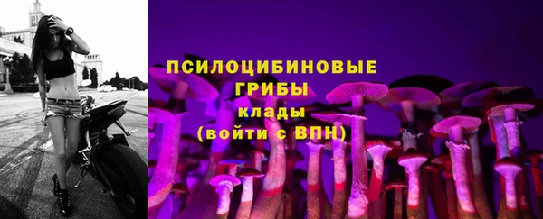 эйфоретик Кулебаки