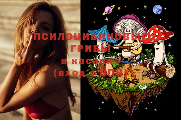 эйфоретик Кулебаки