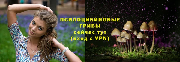 jwh Кукмор