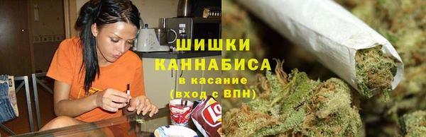 мдпв Лагань