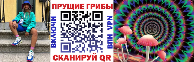Псилоцибиновые грибы Magic Shrooms  Купить где  Горбатов 